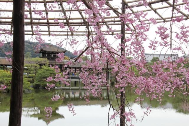 Rejoice Nijo Gekko Aparthotel 3*