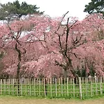 Rejoice Stay Kyoto Nijo Gekko